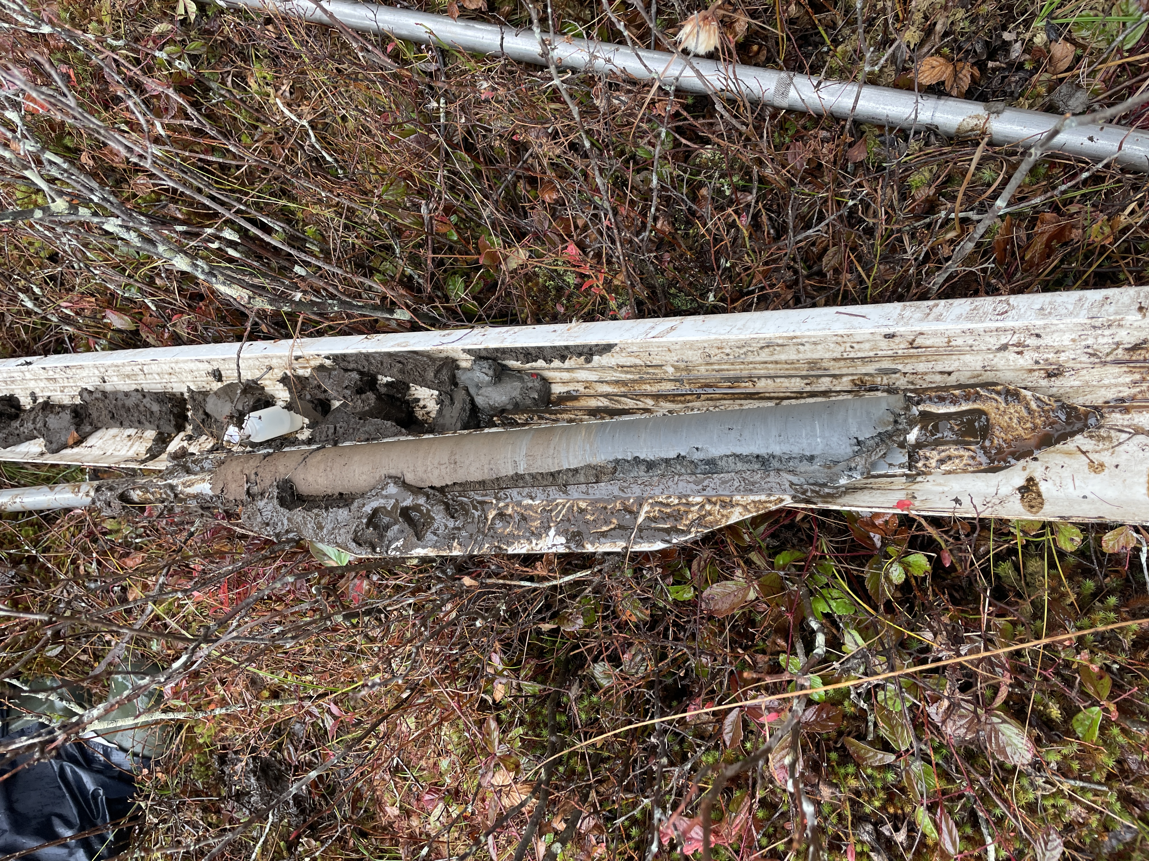 Sediment core from The Glades, Maryland, Fall 2023